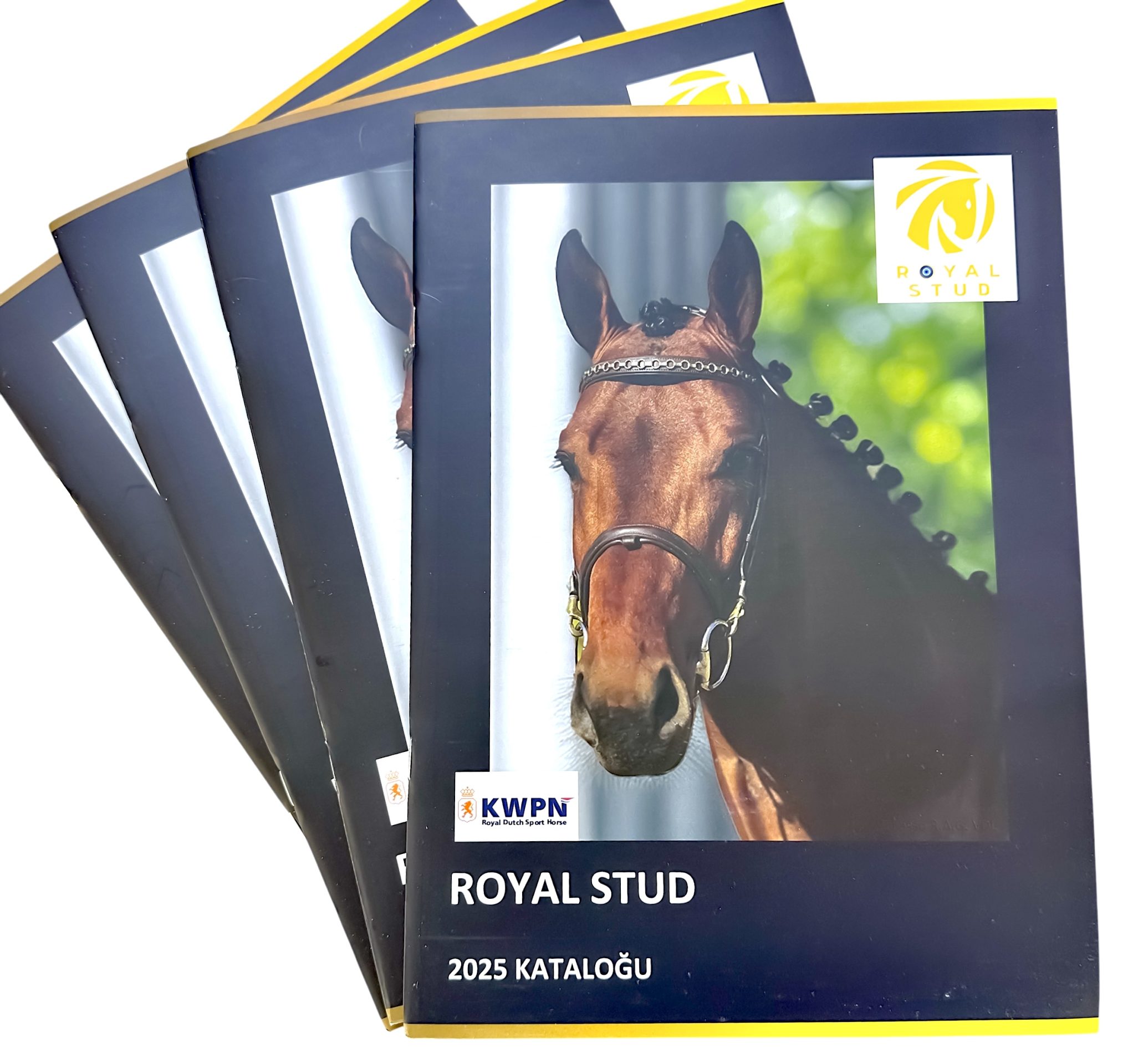 2024 Royal Stud Kataloğumuz yayındadır.